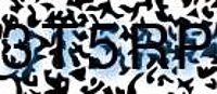 grafischer Sicherheitscode