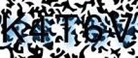grafischer Sicherheitscode
