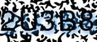 grafischer Sicherheitscode