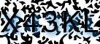 grafischer Sicherheitscode
